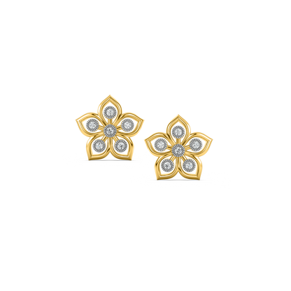 Earrings for her - DER22999