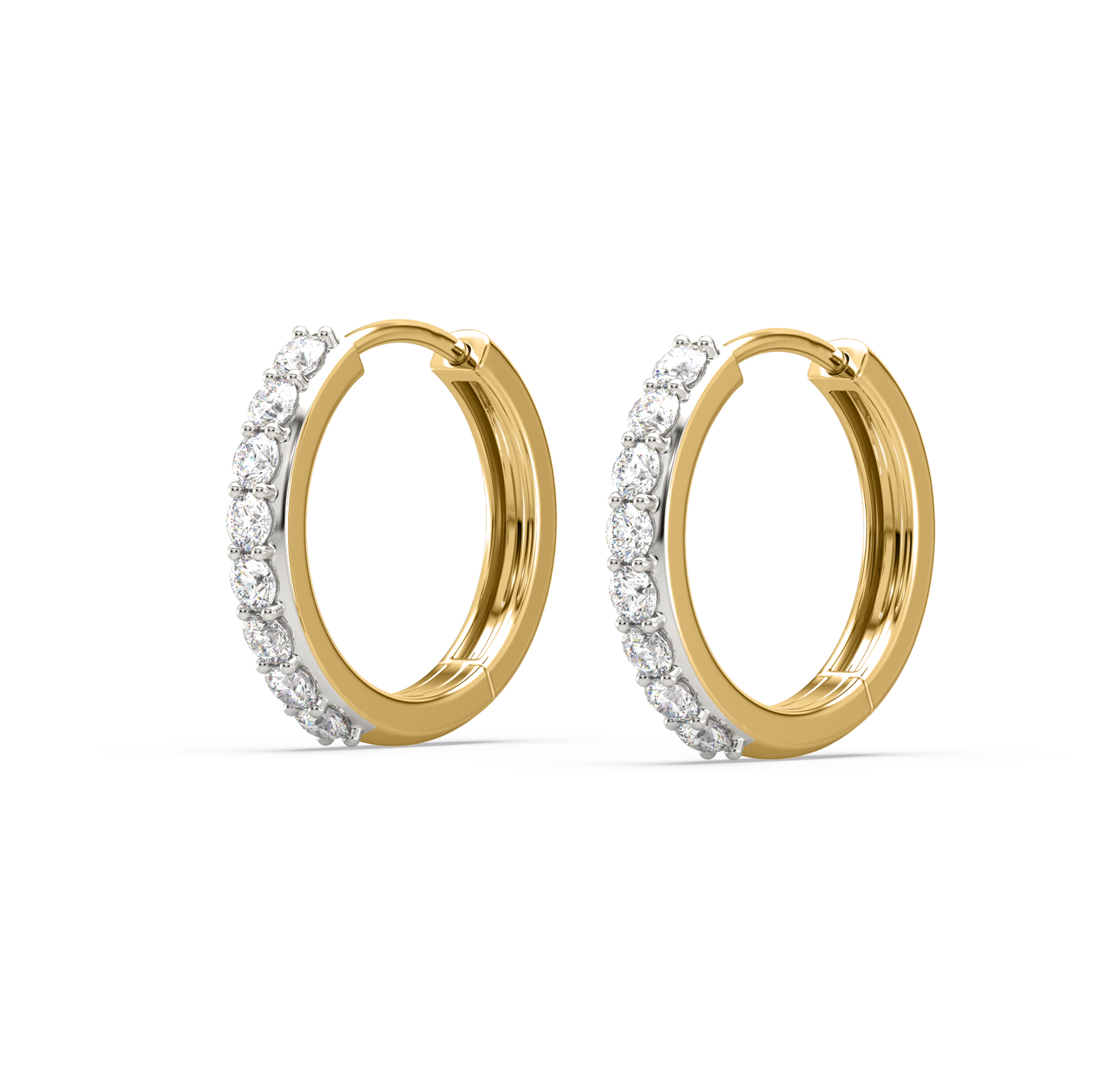 Tania Circular Hoop Earrings